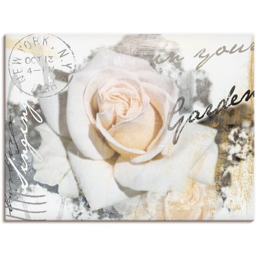 4055327151627 - Wandbild ARTLAND In Buchstaben - Rose Bilder Gr B H 40 cm x 30 cm Leinwandbild Blumen 1 St weiß Bild Poster Bilder als Alubild Leinwandbild Wandaufkleber oder in versch Größen