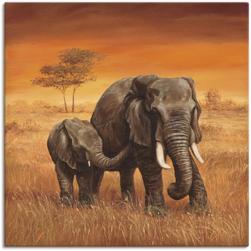 4055327617604 - Wandbild ARTLAND Elefanten II Bilder Gr B H 70 cm x 70 cm Leinwandbild Wildtiere 1 St braun Bild Metallbild Metallbilder Bilder als Alubild Leinwandbild Wandaufkleber oder Poster in versch Größen