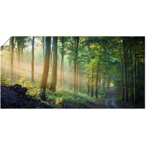 4062144665091 - Wandbild ARTLAND Herbstmorgen im Wald Bilder Gr B H 60 cm x 30 cm Poster Waldbilder Querformat 1 St grün Kunstdrucke als Alubild Leinwandbild Wandaufkleber oder Poster in versch Größen 4062144665091 - Wandbild ARTLAND Herbstmorgen im Wald Bilder Gr B H 60 cm x 30 cm Poster Waldbilder Querformat 1 St grün Kunstdrucke als Alubild Leinwandbild Wandaufkleber oder Poster in versch Größen
