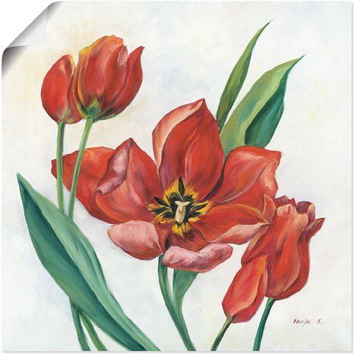 4062144567821 - Wandbild ARTLAND Tulpen I Bilder Gr B H 100 cm x 100 cm Poster Blumenbilder quadratisch 1 St rot Kunstdrucke als Alubild Leinwandbild Wandaufkleber oder Poster in versch Größen 4062144567821 - Wandbild ARTLAND Tulpen I Bilder Gr B H 100 cm x 100 cm Poster Blumenbilder quadratisch 1 St rot Kunstdrucke als Alubild Leinwandbild Wandaufkleber oder Poster in versch Größen