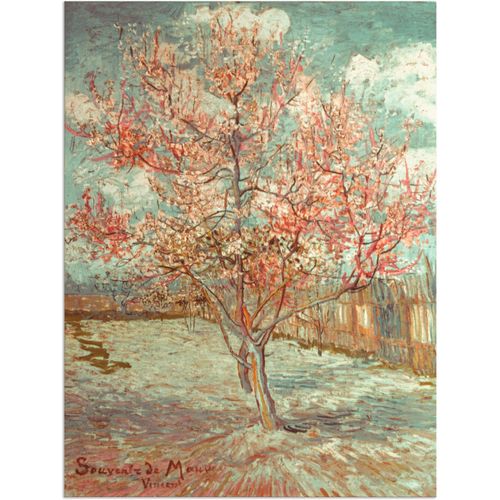 4059745014922 - Wandbild ARTLAND Blühender Pfirsichbaum 1888 Bilder Gr B H 30 cm x 40 cm Alu-Dibond-Druck Wiesen & Bäume Hochformat 1 St grün Bild Metallbild Metallbilder Bilder als Alubild Leinwandbild Wandaufkleber oder Poster in versch Größen 4059745014922 - Wandbild ARTLAND Blühender Pfirsichbaum 1888 Bilder Gr B H 30 cm x 40 cm Alu-Dibond-Druck Wiesen & Bäume Hochformat 1 St grün Bild Metallbild Metallbilder Bilder als Alubild Leinwandbild Wandaufkleber oder Poster in versch Größen