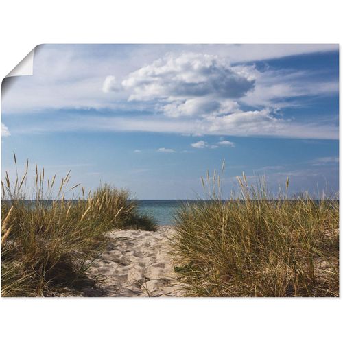 4057738600923 - Wandbild ARTLAND Ostseestrand in Dänemark Bilder Gr B H 80 cm x 60 cm Poster Strand 1 St beige (naturfarben) Bild Kunstdruck Leinwandbild Kunstdrucke Bilder als Alubild Leinwandbild Wandaufkleber oder Poster in versch Größen