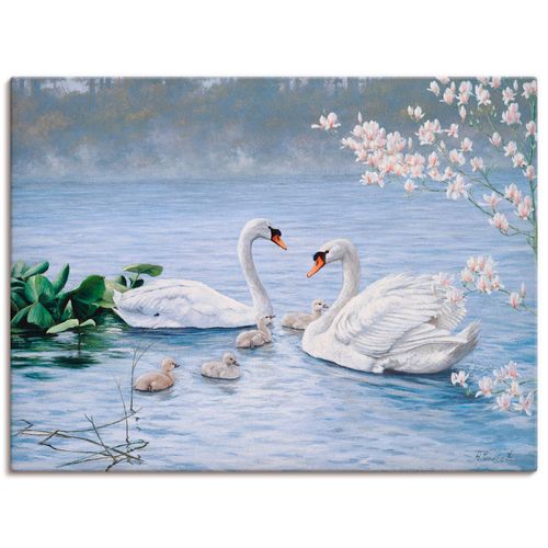 4055327486682 - Wandbild ARTLAND Stolze Schwanenfamilie Bilder Gr B H 60 cm x 45 cm Leinwandbild Vögel Querformat 1 St weiß Bild Leinwandbild Kunstdrucke Bilder als Leinwandbild Wandaufkleber oder Poster in versch Größen 4055327486682 - Wandbild ARTLAND Stolze Schwanenfamilie Bilder Gr B H 60 cm x 45 cm Leinwandbild Vögel Querformat 1 St weiß Bild Leinwandbild Kunstdrucke Bilder als Leinwandbild Wandaufkleber oder Poster in versch Größen
