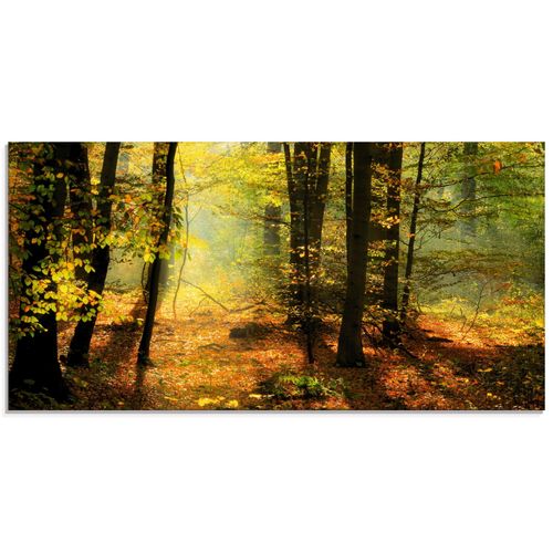 4055327304450 - Glasbild ARTLAND Herbstlicht im Wald Bilder Gr B H 60 cm x 30 cm Glasbild Wald Querformat 1 St grün Bild Glasbild Glasbilder Bilder in verschiedenen Größen 4055327304450 - Glasbild ARTLAND Herbstlicht im Wald Bilder Gr B H 60 cm x 30 cm Glasbild Wald Querformat 1 St grün Bild Glasbild Glasbilder Bilder in verschiedenen Größen