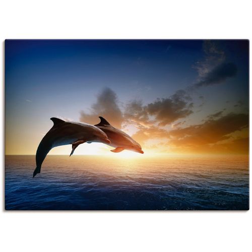 4062144000298 - Wandbild ARTLAND Delfinpaar Bilder Gr B H 70 cm x 50 cm Leinwandbild Wassertiere 1 St blau Bild Poster Bilder als Alubild Leinwandbild Wandaufkleber oder in versch Größen 4062144000298 - Wandbild ARTLAND Delfinpaar Bilder Gr B H 70 cm x 50 cm Leinwandbild Wassertiere 1 St blau Bild Poster Bilder als Alubild Leinwandbild Wandaufkleber oder in versch Größen