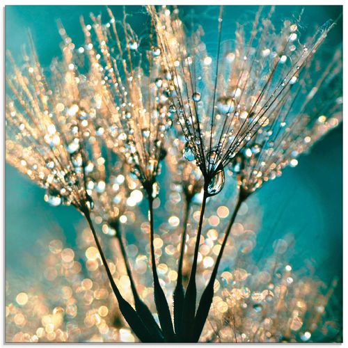 4058661285348 - Glasbild ARTLAND Pusteblume Schirmchen abstrakt Bilder Gr B H 30 cm x 30 cm Glasbild Blumen quadratisch 1 St blau Bild Glasbild Glasbilder Bilder in verschiedenen Größen 4058661285348 - Glasbild ARTLAND Pusteblume Schirmchen abstrakt Bilder Gr B H 30 cm x 30 cm Glasbild Blumen quadratisch 1 St blau Bild Glasbild Glasbilder Bilder in verschiedenen Größen