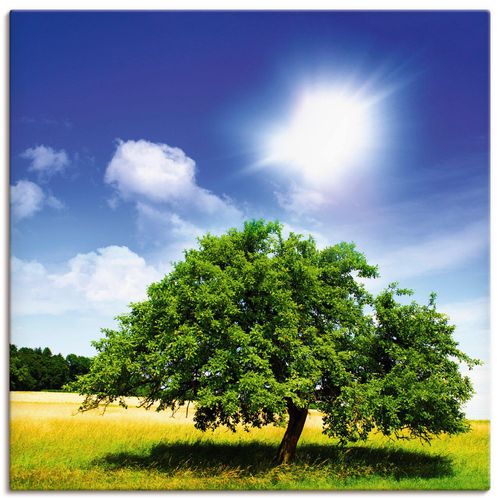 4055327255691 - Wandbild ARTLAND Baum des Lebens Bilder Gr B H 100 cm x 100 cm Leinwandbild Bäume quadratisch 1 St grün Bild Poster Bilder als Alubild Leinwandbild Wandaufkleber oder in versch Größen