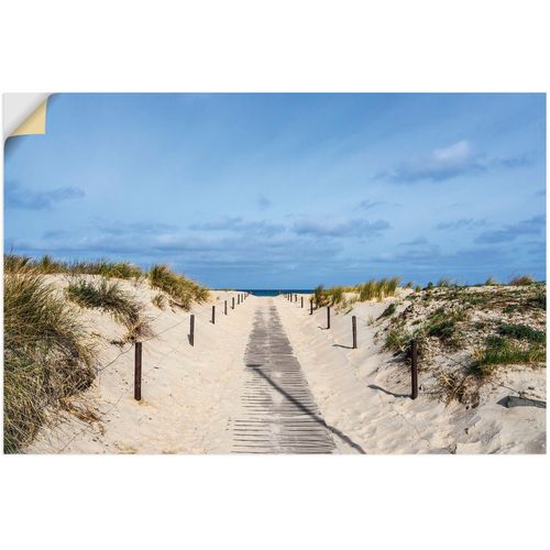 4062144675519 - Wandbild ARTLAND Strandaufgang an Küste der Ostsee Bilder Gr B H 60 cm x 40 cm Wandaufkleber - Vinyl Strandbilder Querformat 1 St blau Kunstdrucke als Alubild Leinwandbild Wandaufkleber oder Poster in versch Größen