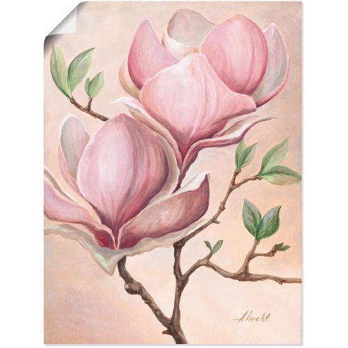 4055327288842 - Wandbild ARTLAND Magnolienblüten Bilder Gr B H 30 cm x 40 cm Poster Blumen 1 St pink Bild Poster Bilder als Alubild Leinwandbild Wandaufkleber oder in versch Größen