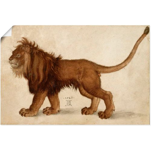 4062144809723 - Wandbild ARTLAND Löwe 1521 Bilder Gr B H 60 cm x 40 cm Poster Raubkatzen Querformat 1 St braun Kunstdrucke als Alubild Leinwandbild Wandaufkleber oder Poster in versch Größen