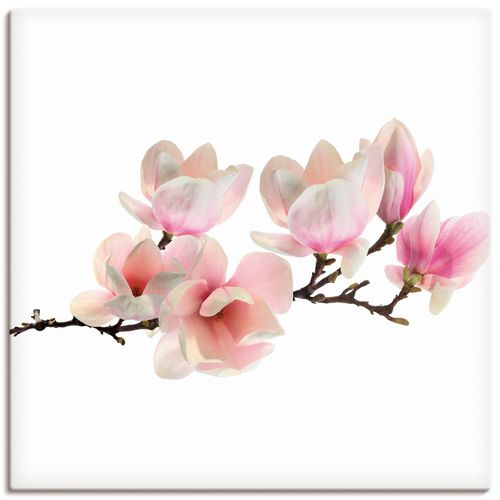 4059745924283 - Wandbild ARTLAND Magnolie Bilder Gr B H 30 cm x 30 cm Leinwandbild Blumen quadratisch 1 St pink Bild Poster Bilder als Alubild Leinwandbild Wandaufkleber oder in versch Größen 4059745924283 - Wandbild ARTLAND Magnolie Bilder Gr B H 30 cm x 30 cm Leinwandbild Blumen quadratisch 1 St pink Bild Poster Bilder als Alubild Leinwandbild Wandaufkleber oder in versch Größen