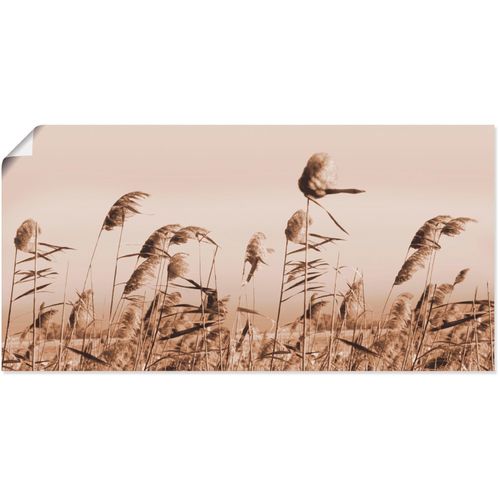 4055327297486 - Wandbild ARTLAND Gräser Bilder Gr B H 60 cm x 30 cm Poster Gräser 1 St beige (natur) Bild Leinwandbild Kunstdrucke Bilder als Alubild Leinwandbild Wandaufkleber oder Poster in versch Größen