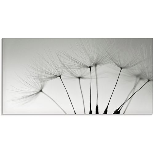 4055327045704 - Glasbild ARTLAND Pusteblumen-Samen Bilder Gr B H 60 cm x 30 cm Blumen 1 St grau Glasbilder Bilder in verschiedenen Größen 4055327045704 - Glasbild ARTLAND Pusteblumen-Samen Bilder Gr B H 60 cm x 30 cm Blumen 1 St grau Glasbilder Bilder in verschiedenen Größen