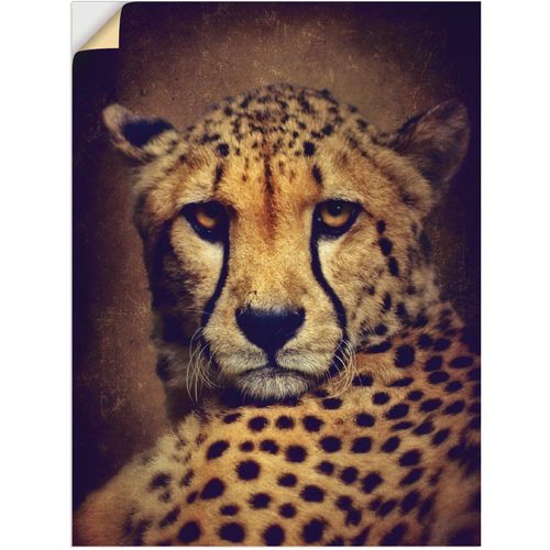 4057738732952 - Wandbild ARTLAND Gepard Bilder Gr B H 30 cm x 40 cm Wandaufkleber - Vinyl Wildtiere 1 St braun Kunstdrucke Bilder als Leinwandbild Wandaufkleber oder Poster in versch Größen