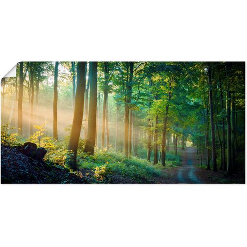 4062144665060 - Wandbild ARTLAND Herbstmorgen im Wald Bilder Gr B H 100 cm x 50 cm Poster Waldbilder Querformat 1 St grün Kunstdrucke als Alubild Leinwandbild Wandaufkleber oder Poster in versch Größen 4062144665060 - Wandbild ARTLAND Herbstmorgen im Wald Bilder Gr B H 100 cm x 50 cm Poster Waldbilder Querformat 1 St grün Kunstdrucke als Alubild Leinwandbild Wandaufkleber oder Poster in versch Größen