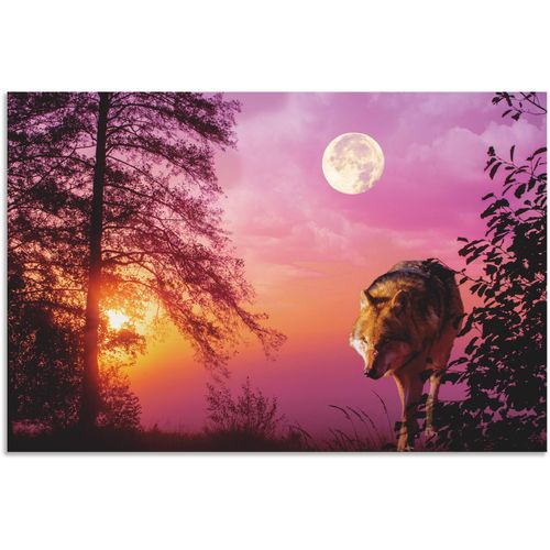 4062144622001 - Wandbild ARTLAND Wolf im Vollmond Bilder Gr B H 30 cm x 20 cm Alu-Dibond-Druck Wolfbilder Querformat 1 St lila Kunstdrucke als Alubild Leinwandbild Wandaufkleber oder Poster in versch Größen 4062144622001 - Wandbild ARTLAND Wolf im Vollmond Bilder Gr B H 30 cm x 20 cm Alu-Dibond-Druck Wolfbilder Querformat 1 St lila Kunstdrucke als Alubild Leinwandbild Wandaufkleber oder Poster in versch Größen