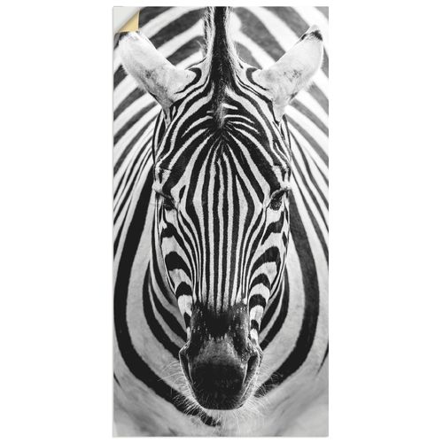 4057738169864 - Wandbild ARTLAND Zebra Bilder Gr B H 30 cm x 60 cm Wandaufkleber - Vinyl Wildtiere Hochformat 1 St schwarz Bild Poster Bilder als Alubild Leinwandbild Wandaufkleber oder in versch Größen 4057738169864 - Wandbild ARTLAND Zebra Bilder Gr B H 30 cm x 60 cm Wandaufkleber - Vinyl Wildtiere Hochformat 1 St schwarz Bild Poster Bilder als Alubild Leinwandbild Wandaufkleber oder in versch Größen