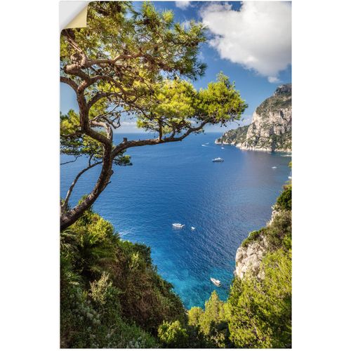 4062144661680 - Wandbild ARTLAND Punta de Masullo Insel Capri Italien Bilder Gr B H 40 cm x 60 cm Wandaufkleber - Vinyl Meer Bilder Hochformat 1 St blau Kunstdrucke als Alubild Leinwandbild Wandaufkleber oder Poster in versch Größen
