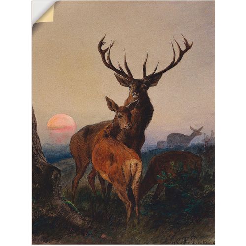 4062144507797 - Wandbild ARTLAND Hirsch und ein Reh bei Sonnenuntergang Bilder Gr B H 90 cm x 120 cm Wandaufkleber - Vinyl Wildtiere 1 St braun Bild Poster Bilder als Leinwandbild Wandaufkleber oder in versch Größen