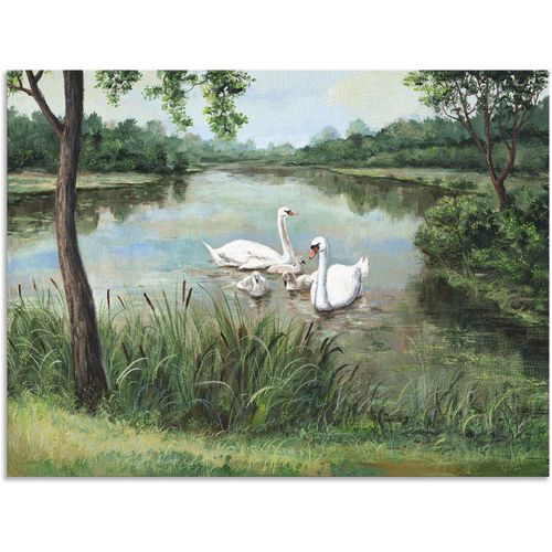 4057738407126 - Wandbild ARTLAND Schwäne Bilder Gr B H 40 cm x 30 cm Alu-Dibond-Druck Vögel 1 St grün Bild Poster Bilder als Alubild Leinwandbild Wandaufkleber oder in versch Größen