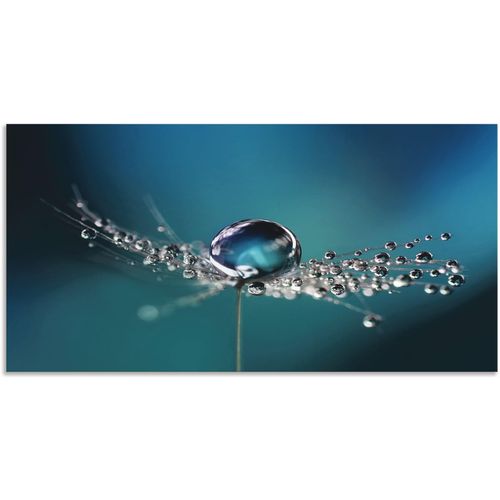 4062144595817 - Wandbild ARTLAND Pusteblume Tautropfen blau Bilder Gr B H 60 cm x 30 cm Alu-Dibond-Druck Blumenbilder Querformat 1 St blau Kunstdrucke als Alubild Leinwandbild Wandaufkleber oder Poster in versch Größen