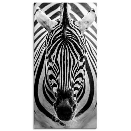 4057738008644 - Wandbild ARTLAND Zebra Bilder Gr B H 30 cm x 60 cm Leinwandbild Wildtiere Hochformat 1 St schwarz Bild Poster Bilder als Alubild Leinwandbild Wandaufkleber oder in versch Größen 4057738008644 - Wandbild ARTLAND Zebra Bilder Gr B H 30 cm x 60 cm Leinwandbild Wildtiere Hochformat 1 St schwarz Bild Poster Bilder als Alubild Leinwandbild Wandaufkleber oder in versch Größen