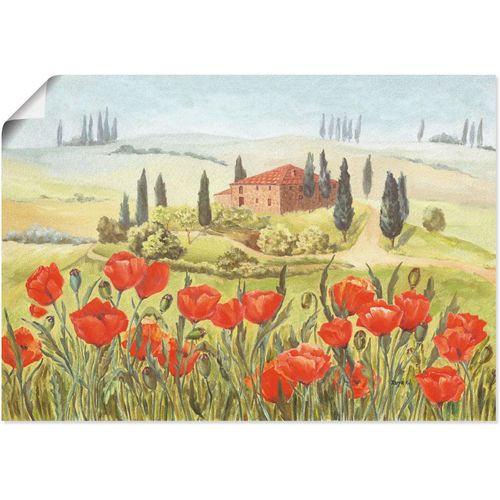 4055327299688 - Wandbild ARTLAND Mohnwiese in der Toskana Bilder Gr B H 100 cm x 70 cm Poster Europa 1 St grün Bild Leinwandbild Kunstdrucke Bilder als Alubild Leinwandbild Wandaufkleber oder Poster in versch Größen