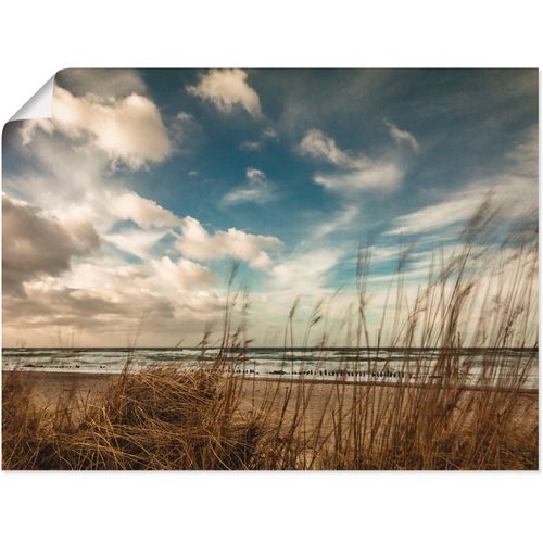 4055327607797 - Wandbild ARTLAND An der Küste Ostsee Bilder Gr B H 80 cm x 60 cm Poster Gewässer 1 St braun Kunstdrucke Bilder als Leinwandbild Wandaufkleber oder Poster in versch Größen