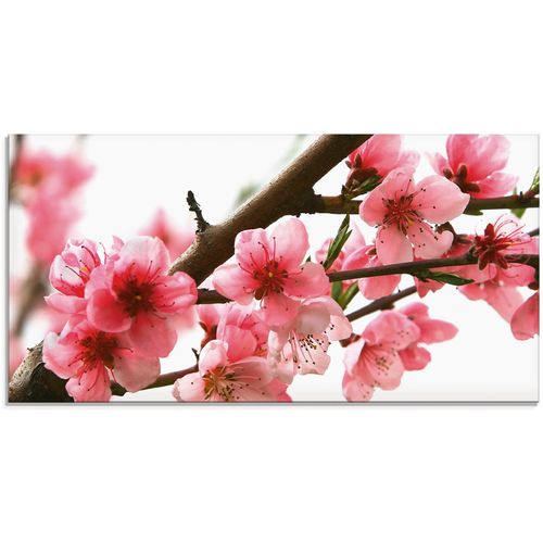 4055327037570 - Glasbild ARTLAND Pfirsichblüten reflektieren im Wasser Bilder Gr B H 100 cm x 50 cm Glasbild Blumen 1 St pink Glasbilder in verschiedenen Größen