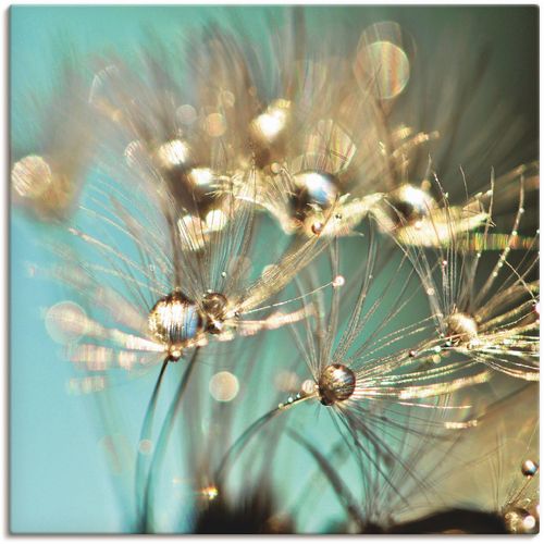 4058661088253 - Wandbild ARTLAND Pusteblume glänzendes Gold Bilder Gr B H 50 cm x 50 cm Leinwandbild Blumen 1 St blau Bild Kunstdruck Poster Bilder als Alubild Leinwandbild Wandaufkleber oder in versch Größen 4058661088253 - Wandbild ARTLAND Pusteblume glänzendes Gold Bilder Gr B H 50 cm x 50 cm Leinwandbild Blumen 1 St blau Bild Kunstdruck Poster Bilder als Alubild Leinwandbild Wandaufkleber oder in versch Größen