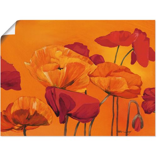 4055327292191 - Wandbild ARTLAND Mohnblume Bilder Gr B H 60 cm x 45 cm Poster Blumen 1 St orange Bild Poster Bilder als Alubild Leinwandbild Wandaufkleber oder in versch Größen