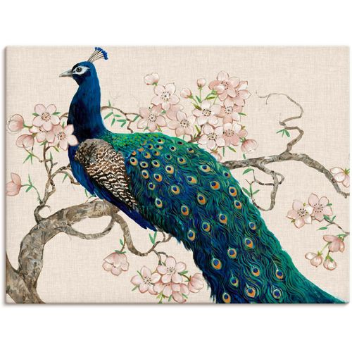 4058661322678 - Wandbild ARTLAND Pfau & Blüten II Bilder Gr B H 40 cm x 30 cm Leinwandbild Vögel Querformat 1 St beige (naturfarben) Bild Poster Bilder als Alubild Leinwandbild Wandaufkleber oder in versch Größen 4058661322678 - Wandbild ARTLAND Pfau & Blüten II Bilder Gr B H 40 cm x 30 cm Leinwandbild Vögel Querformat 1 St beige (naturfarben) Bild Poster Bilder als Alubild Leinwandbild Wandaufkleber oder in versch Größen