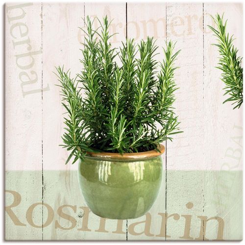 4055327145503 - Wandbild ARTLAND Rosmarin Bilder Gr B H 30 cm x 30 cm Leinwandbild Pflanzen 1 St grün Bild Metallbild Metallbilder Bilder als Alubild Leinwandbild Wandaufkleber oder Poster in versch Größen 4055327145503 - Wandbild ARTLAND Rosmarin Bilder Gr B H 30 cm x 30 cm Leinwandbild Pflanzen 1 St grün Bild Metallbild Metallbilder Bilder als Alubild Leinwandbild Wandaufkleber oder Poster in versch Größen
