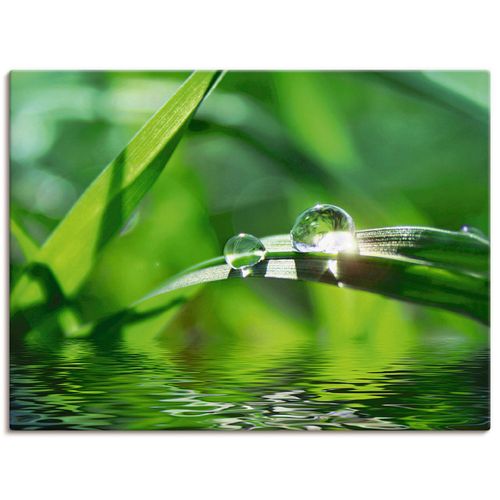 4062144533895 - Wandbild ARTLAND Grüner Hintergrund mit Gras Bilder Gr B H 60 cm x 45 cm Leinwandbild Gräser Querformat 1 St grün Bild Metallbild Metallbilder Bilder als Alubild Leinwandbild Wandaufkleber oder Poster in versch Größen