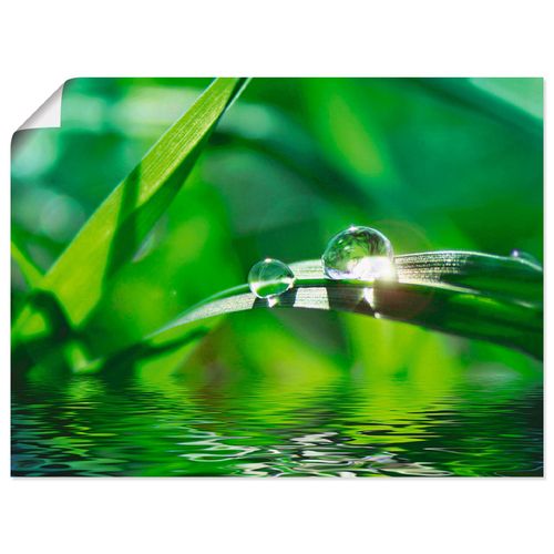 4062144535530 - Wandbild ARTLAND Grüner Hintergrund mit Gras Bilder Gr B H 60 cm x 45 cm Poster Gräser Querformat 1 St grün Bild Metallbild Metallbilder Bilder als Alubild Leinwandbild Wandaufkleber oder Poster in versch Größen 4062144535530 - Wandbild ARTLAND Grüner Hintergrund mit Gras Bilder Gr B H 60 cm x 45 cm Poster Gräser Querformat 1 St grün Bild Metallbild Metallbilder Bilder als Alubild Leinwandbild Wandaufkleber oder Poster in versch Größen