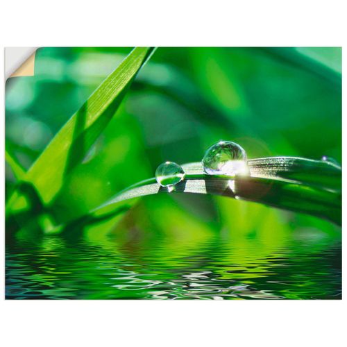 4057738284352 - Wandbild ARTLAND Grüner Hintergrund mit Gras Bilder Gr B H 60 cm x 45 cm Wandaufkleber - Vinyl Gräser Querformat 1 St grün Bild Metallbild Metallbilder Bilder als Alubild Leinwandbild Wandaufkleber oder Poster in versch Größen