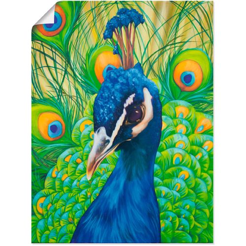 4059745945394 - Wandbild ARTLAND Pfau Bilder Gr B H 30 cm x 40 cm Poster Vögel 1 St blau Kunstdrucke Bilder als Alubild Leinwandbild Wandaufkleber oder Poster in versch Größen 4059745945394 - Wandbild ARTLAND Pfau Bilder Gr B H 30 cm x 40 cm Poster Vögel 1 St blau Kunstdrucke Bilder als Alubild Leinwandbild Wandaufkleber oder Poster in versch Größen