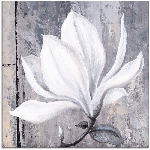 4062144159040 - Glasbild ARTLAND Klassische Magnolie Bilder Gr B H 40 cm x 40 cm Blumen 1 St grau Glasbilder Bilder in verschiedenen Größen 4062144159040 - Glasbild ARTLAND Klassische Magnolie Bilder Gr B H 40 cm x 40 cm Blumen 1 St grau Glasbilder Bilder in verschiedenen Größen