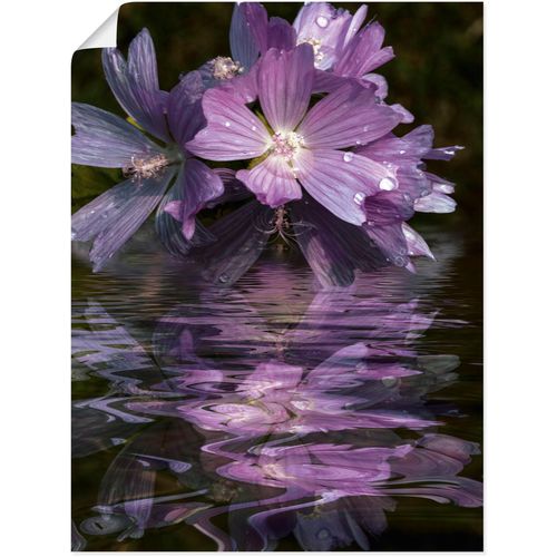 4062144821800 - Wandbild ARTLAND Malventee Bilder Gr B H 30 cm x 40 cm Poster Spa Bilder Hochformat 1 St lila Kunstdrucke als Alubild Leinwandbild Wandaufkleber oder Poster in versch Größen 4062144821800 - Wandbild ARTLAND Malventee Bilder Gr B H 30 cm x 40 cm Poster Spa Bilder Hochformat 1 St lila Kunstdrucke als Alubild Leinwandbild Wandaufkleber oder Poster in versch Größen