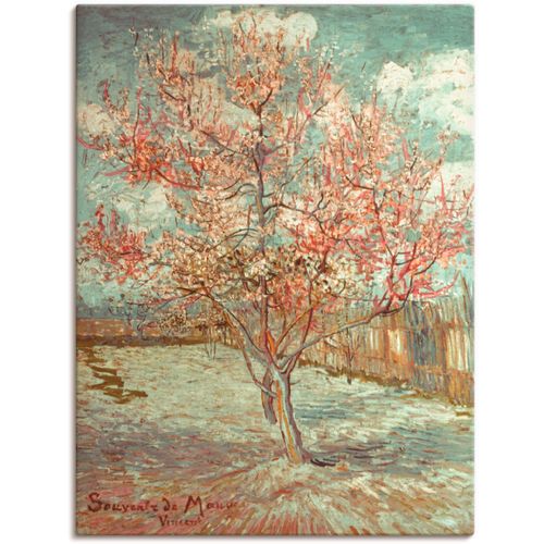 4059745014793 - Wandbild ARTLAND Blühender Pfirsichbaum 1888 Bilder Gr B H 30 cm x 40 cm Leinwandbild Wiesen & Bäume Hochformat 1 St grün Bild Metallbild Metallbilder Bilder als Alubild Leinwandbild Wandaufkleber oder Poster in versch Größen