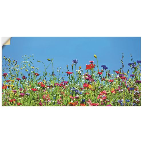 4059745841252 - Wandbild ARTLAND Blumenwiese II Bilder Gr B H 40 cm x 20 cm Wandaufkleber - Vinyl Blumenwiese Querformat 1 St blau Bild Poster Bilder als Alubild Leinwandbild Wandaufkleber oder in versch Größen 4059745841252 - Wandbild ARTLAND Blumenwiese II Bilder Gr B H 40 cm x 20 cm Wandaufkleber - Vinyl Blumenwiese Querformat 1 St blau Bild Poster Bilder als Alubild Leinwandbild Wandaufkleber oder in versch Größen