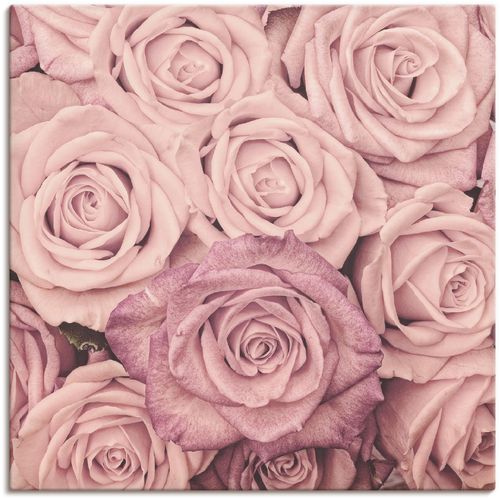 4057738070450 - Wandbild ARTLAND Rosen Bilder Gr B H 50 cm x 50 cm Leinwandbild Blumen 1 St pink Bild Kunstdruck Kunstdrucke Bilder als Leinwandbild Wandaufkleber oder Poster in versch Größen