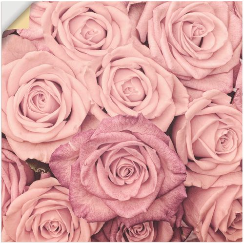 4062144299890 - Wandbild ARTLAND Rosen Bilder Gr B H 50 cm x 50 cm Wandaufkleber - Vinyl Blumen 1 St pink Bild Kunstdruck Kunstdrucke Bilder als Leinwandbild Wandaufkleber oder Poster in versch Größen