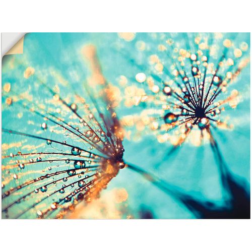 4057738611233 - Wandbild ARTLAND Pusteblume aqua Bilder Gr B H 80 cm x 60 cm Wandaufkleber - Vinyl Blumen 1 St blau Bild Kunstdruck Poster Bilder als Alubild Leinwandbild Wandaufkleber oder in versch Größen