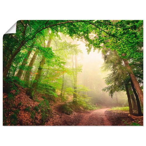 4057738317616 - Wandbild ARTLAND Natürliche Torbögen durch Bäume Bilder Gr B H 80 cm x 60 cm Poster Wald Querformat 1 St grün Bild Poster Bilder als Alubild Leinwandbild Wandaufkleber oder in versch Größen