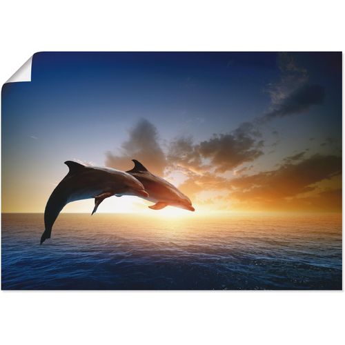 4062144000311 - Wandbild ARTLAND Delfinpaar Bilder Gr B H 70 cm x 50 cm Poster Wassertiere 1 St blau Bild Poster Bilder als Alubild Leinwandbild Wandaufkleber oder in versch Größen 4062144000311 - Wandbild ARTLAND Delfinpaar Bilder Gr B H 70 cm x 50 cm Poster Wassertiere 1 St blau Bild Poster Bilder als Alubild Leinwandbild Wandaufkleber oder in versch Größen