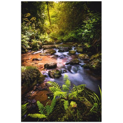 4062144011836 - Wandbild ARTLAND Wildbach im Wald Bilder Gr B H 40 cm x 60 cm Alu-Dibond-Druck Gewässer Hochformat 1 St grün Bild Leinwandbild Kunstdrucke Bilder als Alubild Leinwandbild Wandaufkleber oder Poster in versch Größen