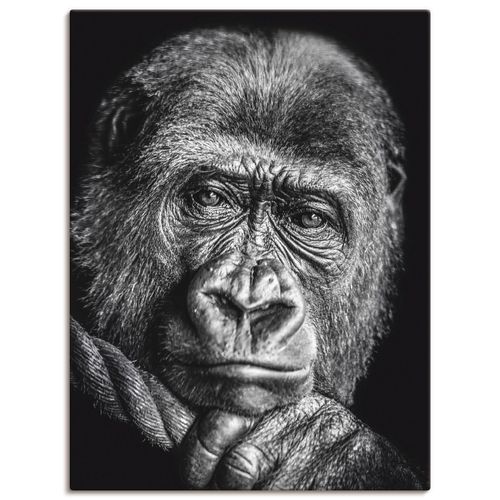 4057738009078 - Wandbild ARTLAND Gorilla Bilder Gr B H 60 cm x 80 cm Leinwandbild Wildtiere Hochformat 1 St schwarz Bild Leinwandbild Kunstdrucke Bilder als Alubild Leinwandbild Wandaufkleber oder Poster in versch Größen 4057738009078 - Wandbild ARTLAND Gorilla Bilder Gr B H 60 cm x 80 cm Leinwandbild Wildtiere Hochformat 1 St schwarz Bild Leinwandbild Kunstdrucke Bilder als Alubild Leinwandbild Wandaufkleber oder Poster in versch Größen