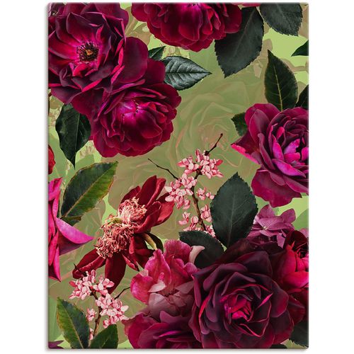 4062144648933 - Wandbild ARTLAND Dunkle Rosen auf Grün Bilder Gr B H 30 cm x 40 cm Leinwandbild Blumenbilder Hochformat 1 St pink Kunstdrucke als Alubild Leinwandbild Wandaufkleber oder Poster in versch Größen 4062144648933 - Wandbild ARTLAND Dunkle Rosen auf Grün Bilder Gr B H 30 cm x 40 cm Leinwandbild Blumenbilder Hochformat 1 St pink Kunstdrucke als Alubild Leinwandbild Wandaufkleber oder Poster in versch Größen