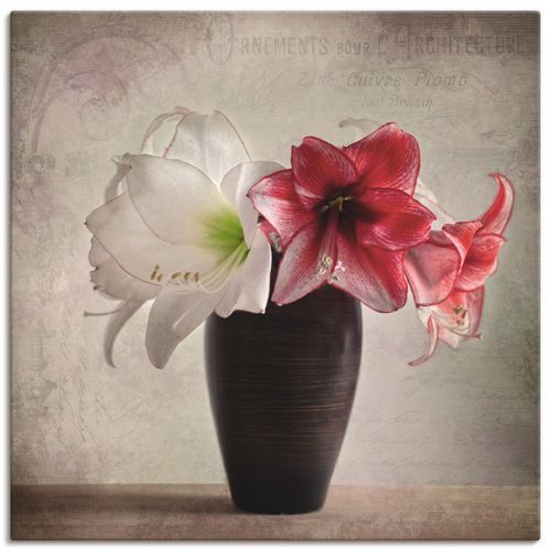 4059745059428 - Wandbild ARTLAND Amaryllis Vintage I Bilder Gr B H 40 cm x 40 cm Leinwandbild Blumen quadratisch 1 St beige (naturfarben) Bild Poster Bilder als Alubild Leinwandbild Wandaufkleber oder in versch Größen